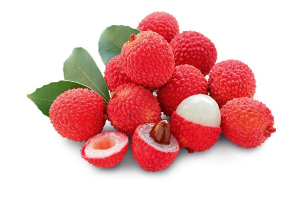 Liczi