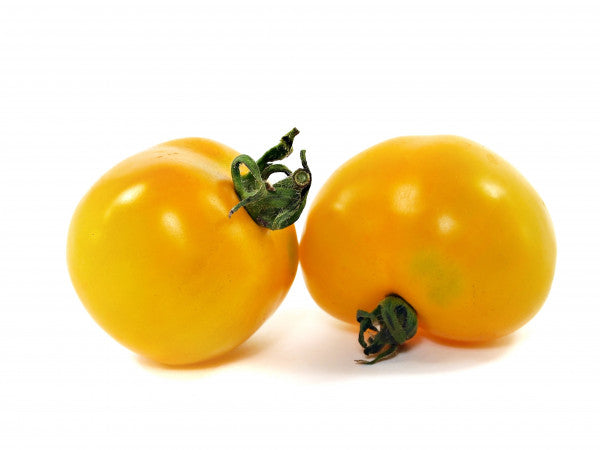 Pomidor żółty